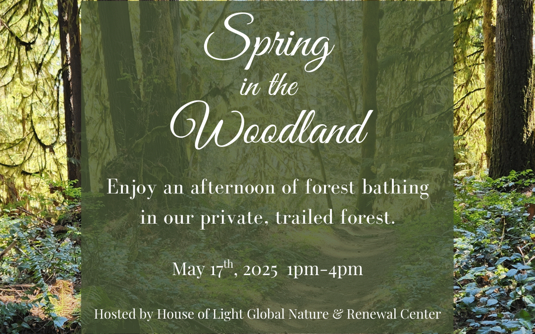 Forest Bathing: Spring in the Woodland