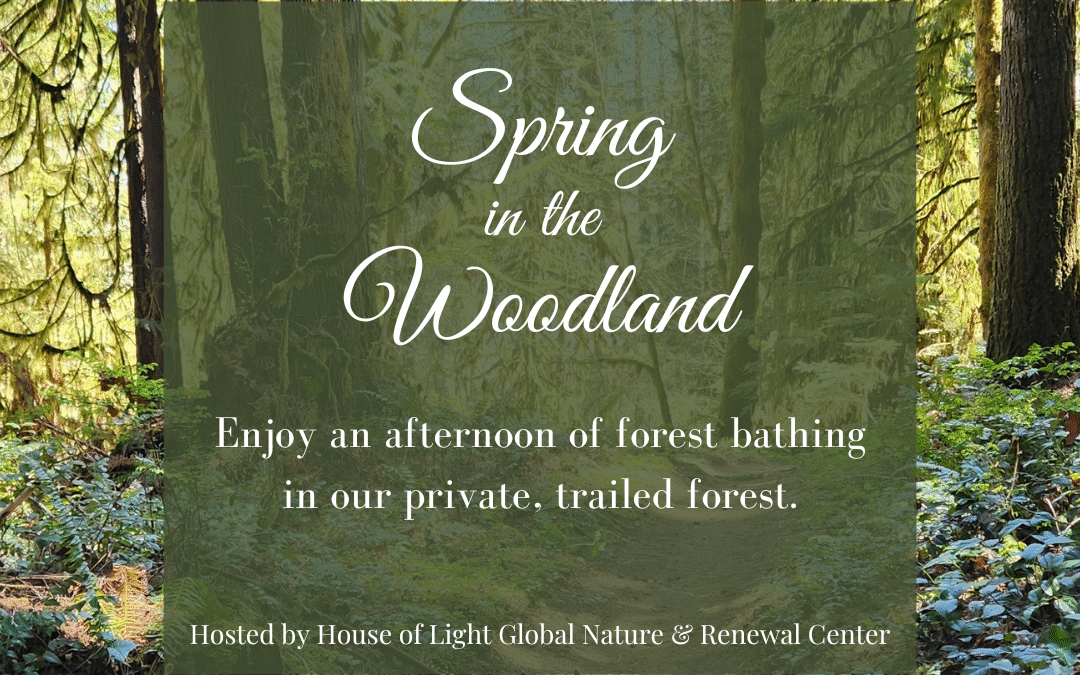 Forest Bathing: Spring in the Woodland