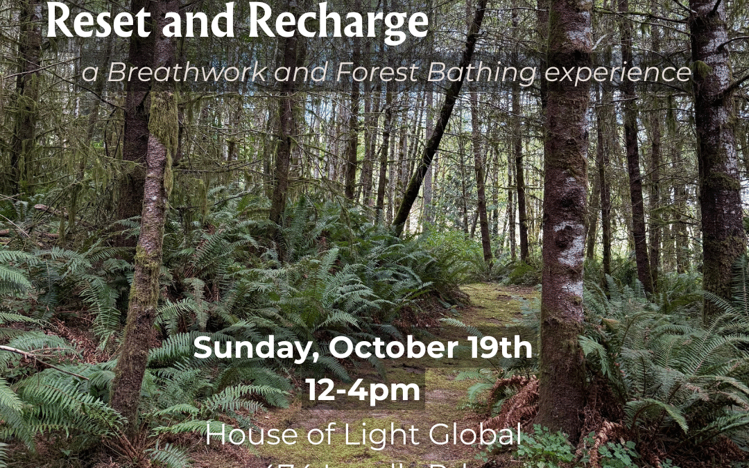 Reset & Recharge: A Breathwork & Forest Bathing Experience